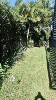Image 9 - 983386