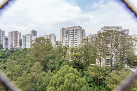 Image 11 - 983478