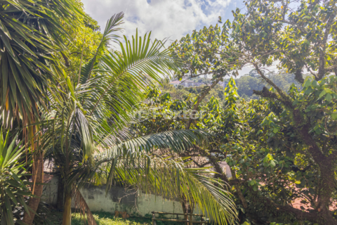 Image 4 - 983537