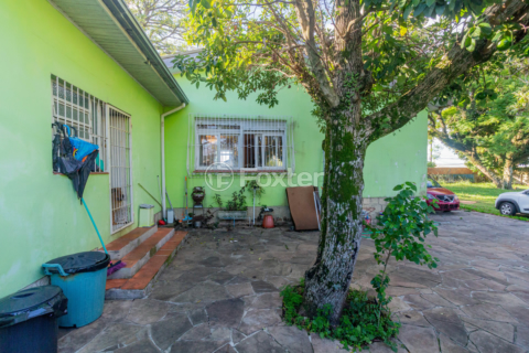 Image 39 - 983553