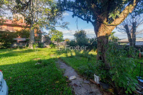 Image 42 - 983553