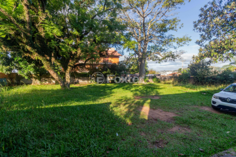 Image 43 - 983553