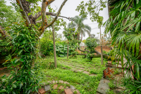 Image 19 - 983732