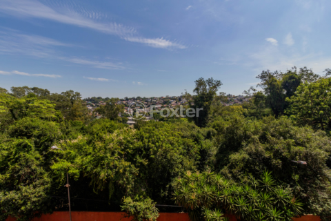 Image 3 - 983764