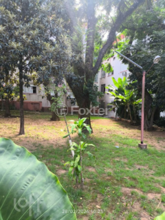 Image 8 - 983789