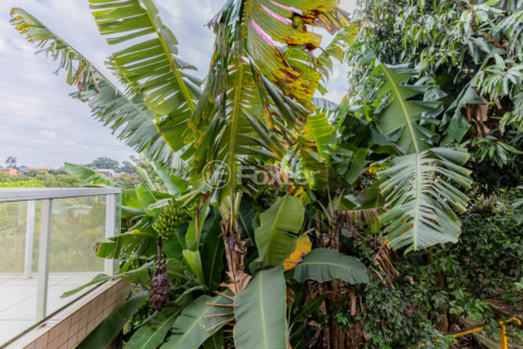 Image 3 - 983821