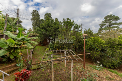 Image 11 - 983821