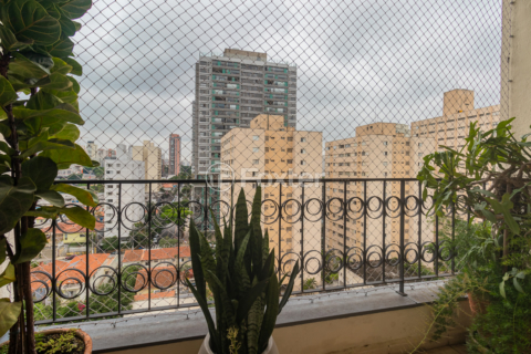 Image 3 - 983869