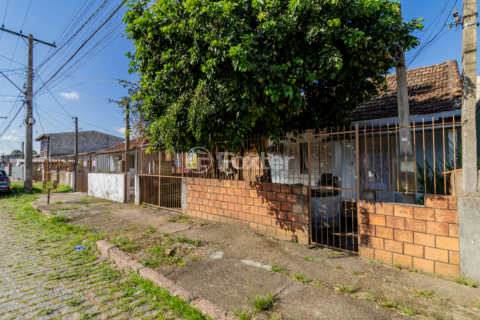 Image 8 - 984543