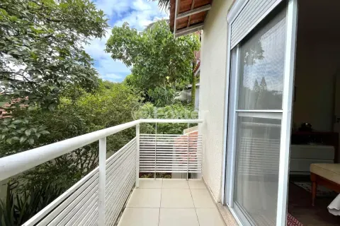 Image 37 - 984696
