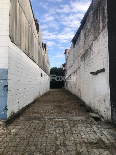 Image 5 - 984785