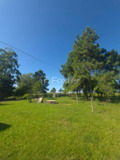 Image 5 - 985134