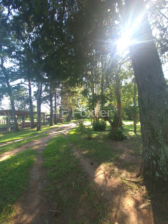 Image 4 - 985134