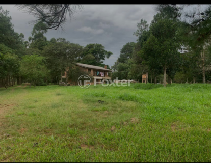 Image 6 - 985134