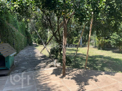 Image 29 - 985161