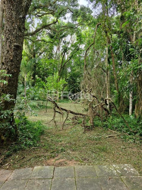 Image 9 - 985453