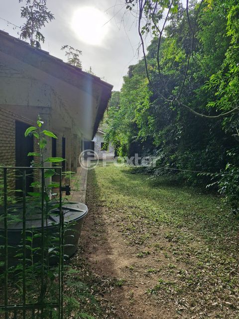 Image 3 - 985453