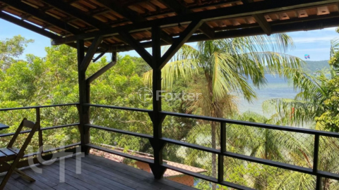 Image 3 - 985593
