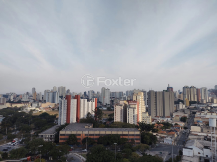 Image 7 - 985890