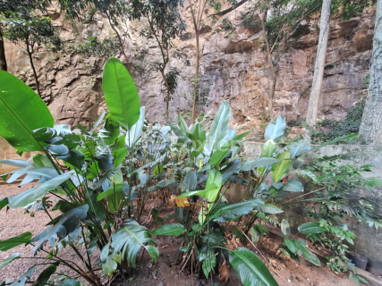 Image 4 - 985891
