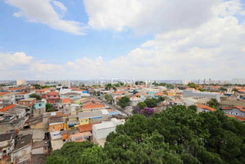Image 19 - 986084