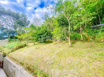 Image 32 - 986121
