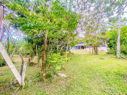 Image 36 - 986121