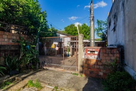 Image 31 - 987219