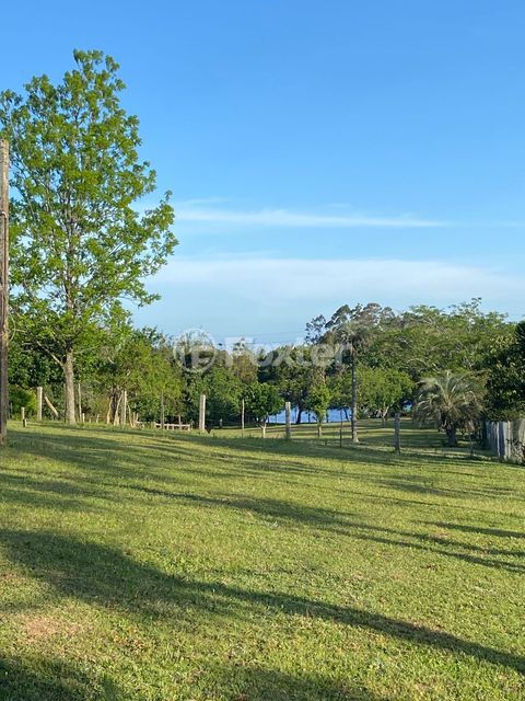 Image 11 - 987359