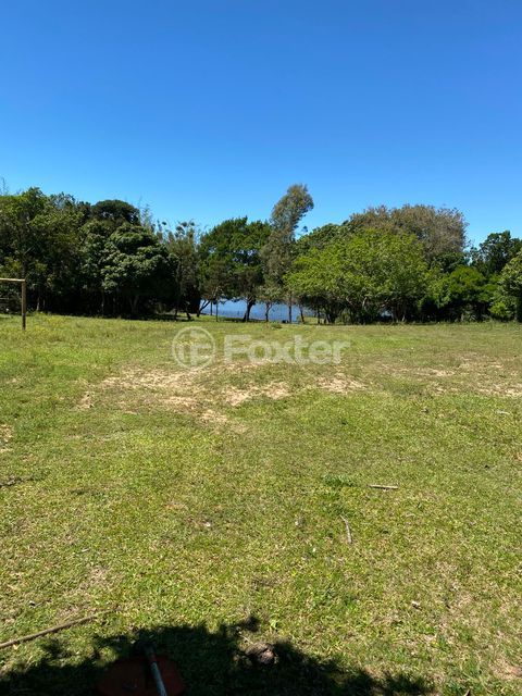 Image 10 - 987359