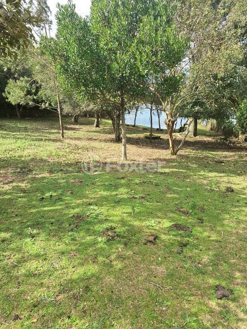 Image 9 - 987359