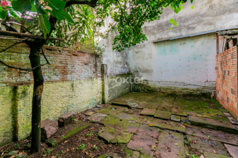 Image 48 - 987455