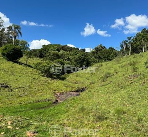 Image 6 - 987457