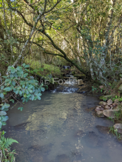 Image 4 - 987457