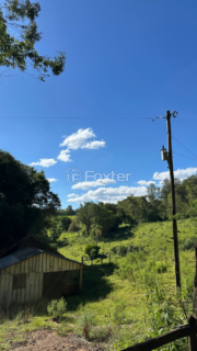 Image 3 - 987457