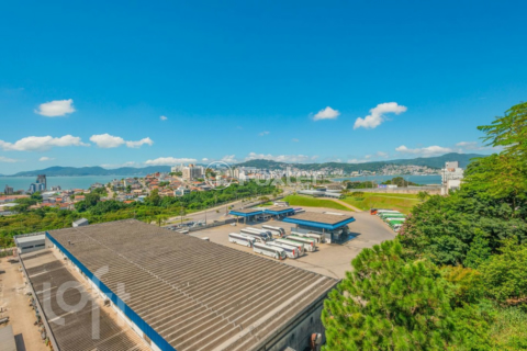 Image 3 - 987830