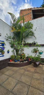 Image 52 - 987887