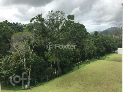 Image 11 - 988181