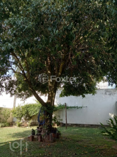 Image 14 - 988213