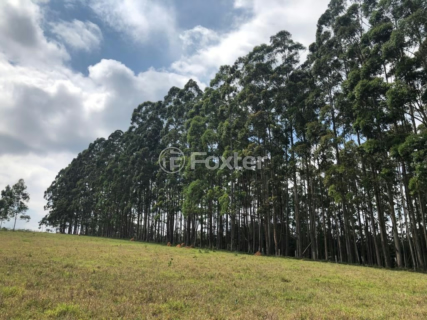 Image 31 - 988250