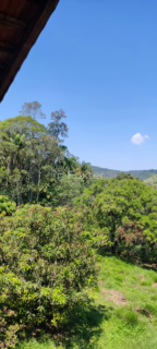Image 3 - 988250