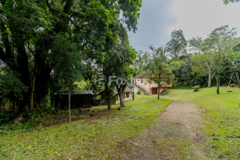 Image 5 - 988459