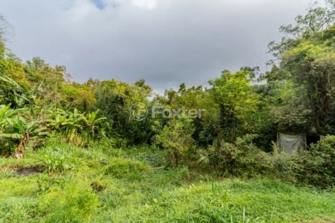 Image 8 - 988459