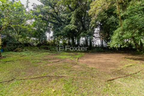 Image 11 - 988459