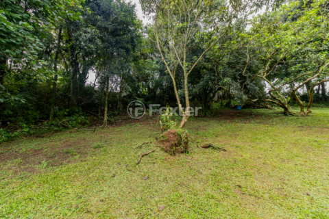 Image 10 - 988459