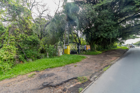 Image 21 - 988459