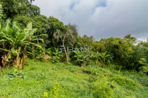Image 9 - 988459