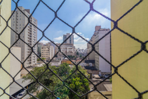 Image 7 - 988530