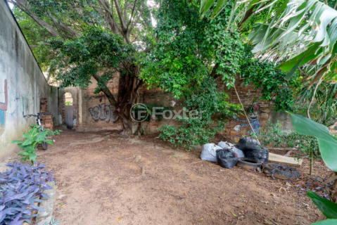 Image 4 - 988544