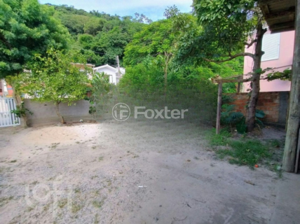 Image 9 - 988554